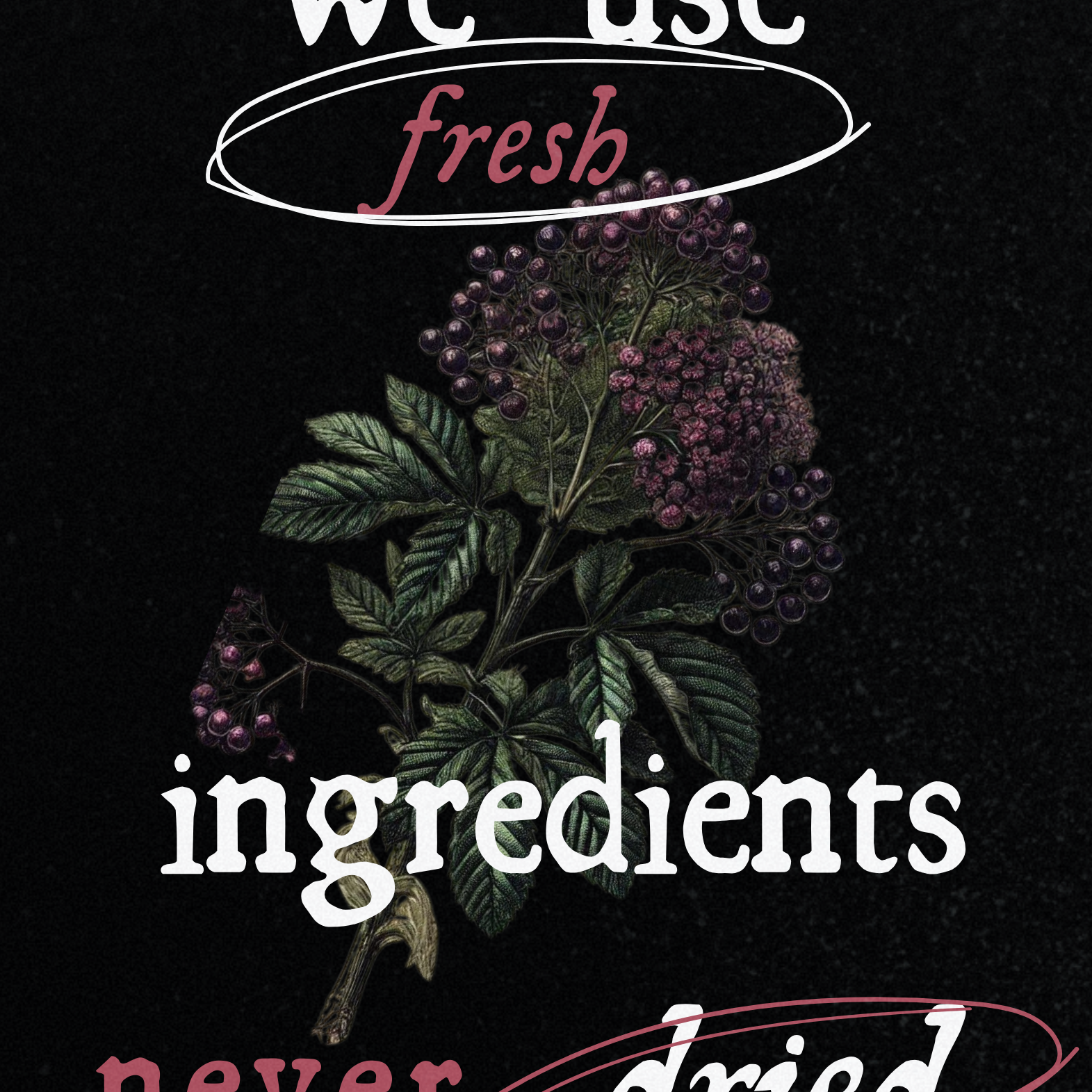 We use fresh ingredients, never dried" – A stylized promotional image featuring an illustration of fresh elderberries and leaves against a dark background, emphasizing the use of fresh ingredients in the Best Sellers collection